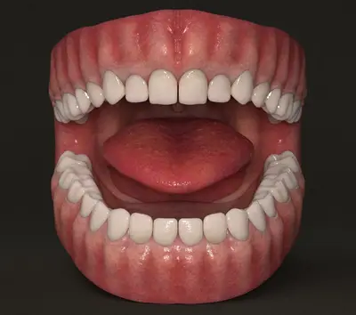 Modelo 3D — Arcada dentária